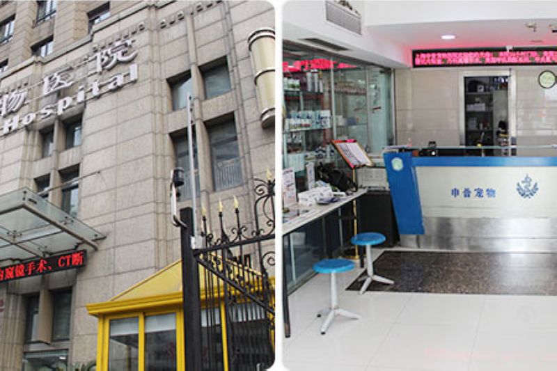 Shenpu Pet Hospital